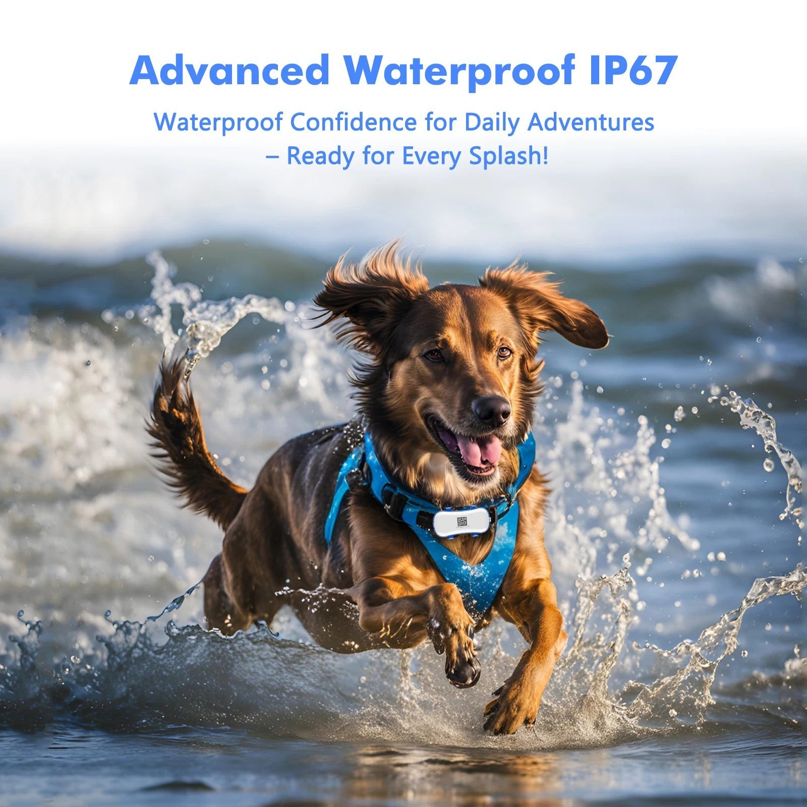 PET10 GPS Pet Tracker – Smart Location Device with Long Battery Life