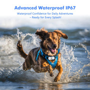 PET10 GPS Pet Tracker – Smart Location Device with Long Battery Life