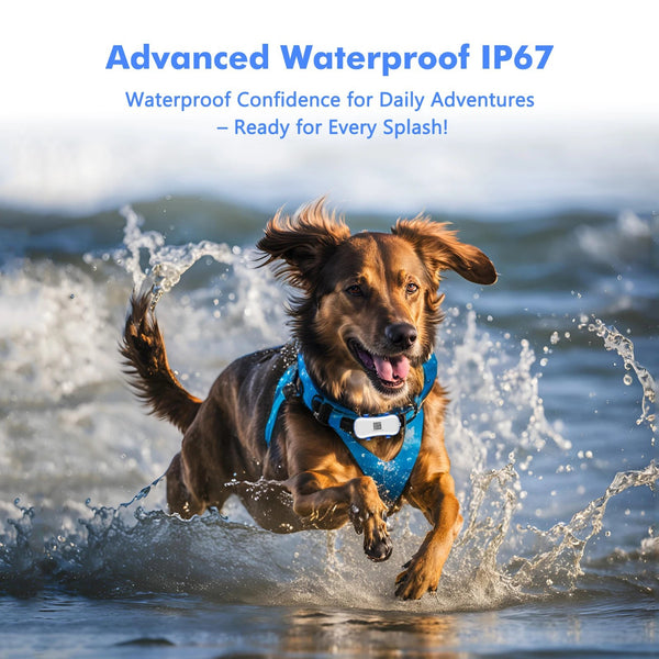 PET10 GPS Pet Tracker – Smart Location Device with Long Battery Life