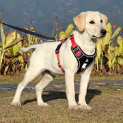 No-Pull Reflective Dog Harness – Durable Padded Vest with Lift Handle for Medium & Large Dogs